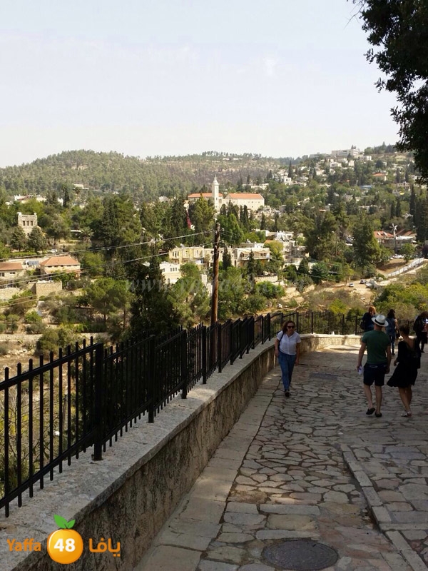 qostanteen re7al (8).JPG